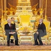 资料图：阮富仲（左）与柬埔寨国王举行会谈。