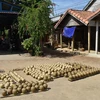 清河陶瓷村。（图片来源：越南之声）