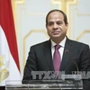 埃及总统即将对越南进行国事访问