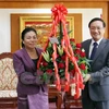 孙通·赛亚加部长向阮柏雄大使赠送鲜花，庆祝越南国庆72周年。（图片来源：越通社）