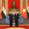 越南国家主席陈大光（右）和埃及总统塞西。（图片来源：越通社）