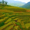 越南风景。