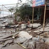 第十号台风给越南中部各省造成特大损失。（图片来源：越通社）