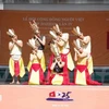 越南人文化节精彩亮相韩国大田市