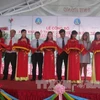 首批越南火龙果对澳大利亚出口仪式在隆安省举行。（图片来源：越通社） 