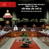 越南共产党胡志明市第十届委员会第十四次全体会议场景。（图片来源：越通社）