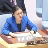 越南常驻联合国代表团团长阮芳俄大使