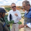 荷兰专家与越南林同省大叻市农民​交谈。