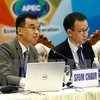 参加 2017年越南APEC财政高官会的代表。