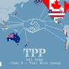 附图：TPP的11个参加国将于下周在日本召开会议。（图片来源：越通社）