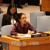 越南常驻联合国代表团团长阮芳娥大使