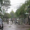 第十二号台风登陆越南为中南部地区造成巨大人员和财产损失