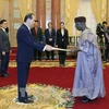 国家主席陈大光接受三国新任驻越大使递交的国书