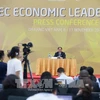 2017年APEC高官总结会议在岘港市闭幕