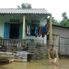 欧盟愿意帮助越南开展台风灾后恢复重建工作