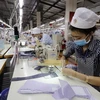 今年前11月越南新注册成立企业11.6万多家