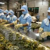 越南与韩国促进农产品贸易发展