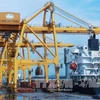 Vinalines与Rent-A-Port公司在海防港兴建谷物进出口专用码头