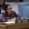 越南呼吁联合国制定避免冲突和维持和平的长期战略