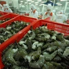 2018年虾类产品出口将继续快速增长