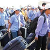 同塔省成为九龙江三角洲地区境外劳务输出工作的亮点