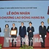 国家副主席邓氏玉盛授予第一生命保险（越南）三级劳动勋章