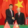 越中领导人互致贺电庆祝两国建交68周年