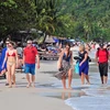 2018年1月富国岛接待游客达近26万人次