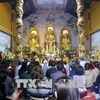 旅居世界各国越南人纷纷举行迎新春活动