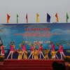 芹苴市举行文化体育和旅游周 喜迎2018戊戌年春节