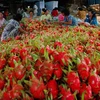 越南诸多农产品成功征服世界高端市场 