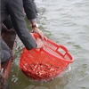 河内市举行规模巨大的放生仪式 鱼量超过五吨