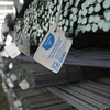 越南和发集团2月建筑钢材出口逾3万吨