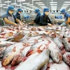 美国对查鱼采取进口限制措施 越南向世贸组织提意见