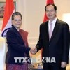 陈大光呼吁扩大印度与越南的合作