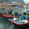 越南积极处理欧洲理事会对越南渔业水产品发出“黄牌”警告