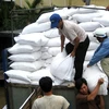 韩国政府为越南中部灾区提供1万吨大米援助