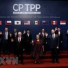 11国在智利正式签署《全面进展的跨太平洋伙伴关系协定》