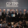 新加坡专家建议越南推动改革 充分利用CPTPP带来的机遇