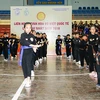 越南国际传统武术节是向世界推介传统武术的良好机会