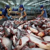 美国将对越南冷冻查鱼片征收较高的反倾销税