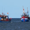 巴地头顿省力争到2019年彻底解决渔船和渔民侵犯外国海域的问题