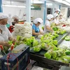 越南蔬菜水果出口保持乐观趋势 