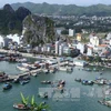 越南《经济特区法》（草案）将进一步放松对限制性行业的规定