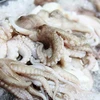 越南墨鱼和章鱼远销世界38个市场