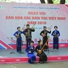越南各民族文化节在胡志明市举行