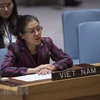 越南呼吁联合国安全理事会参与解决以色列-巴勒斯坦冲突