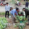 莱州省：越中缔结友好村寨模式带来诸多实际效果