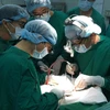 跨地域器官移植手术中的奇迹
