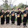 越南全国天曲天琴联欢准备就绪